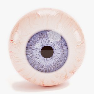 3D eyeball 2 model
