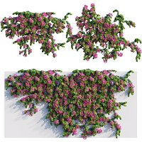 Grow FX - Bougainvillea - Paper Flower 04