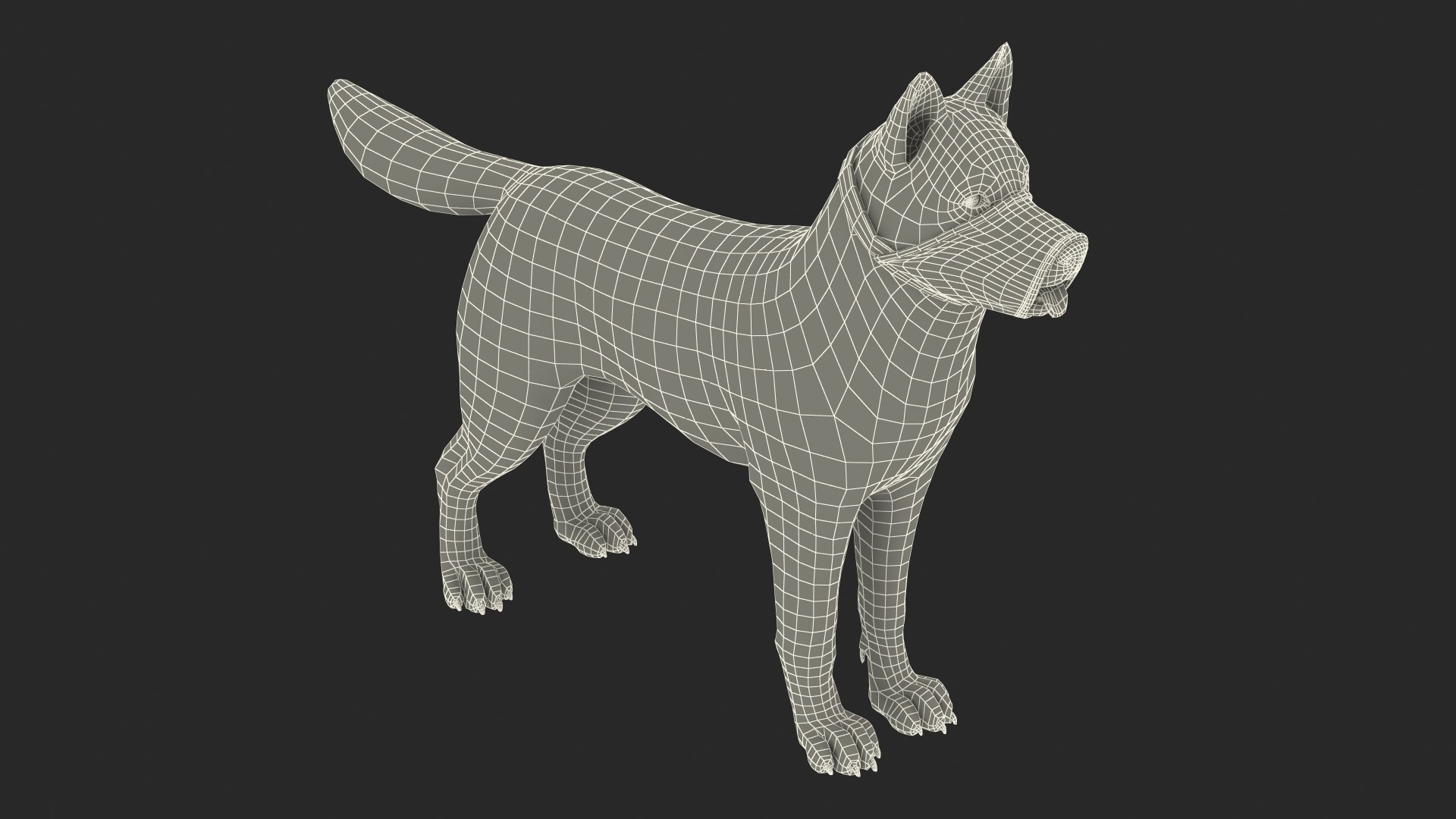 Siberian Husky With Nylon Dog Muzzle 3D Model - TurboSquid 2273683