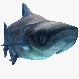 Animated Mekong Giant Catfish