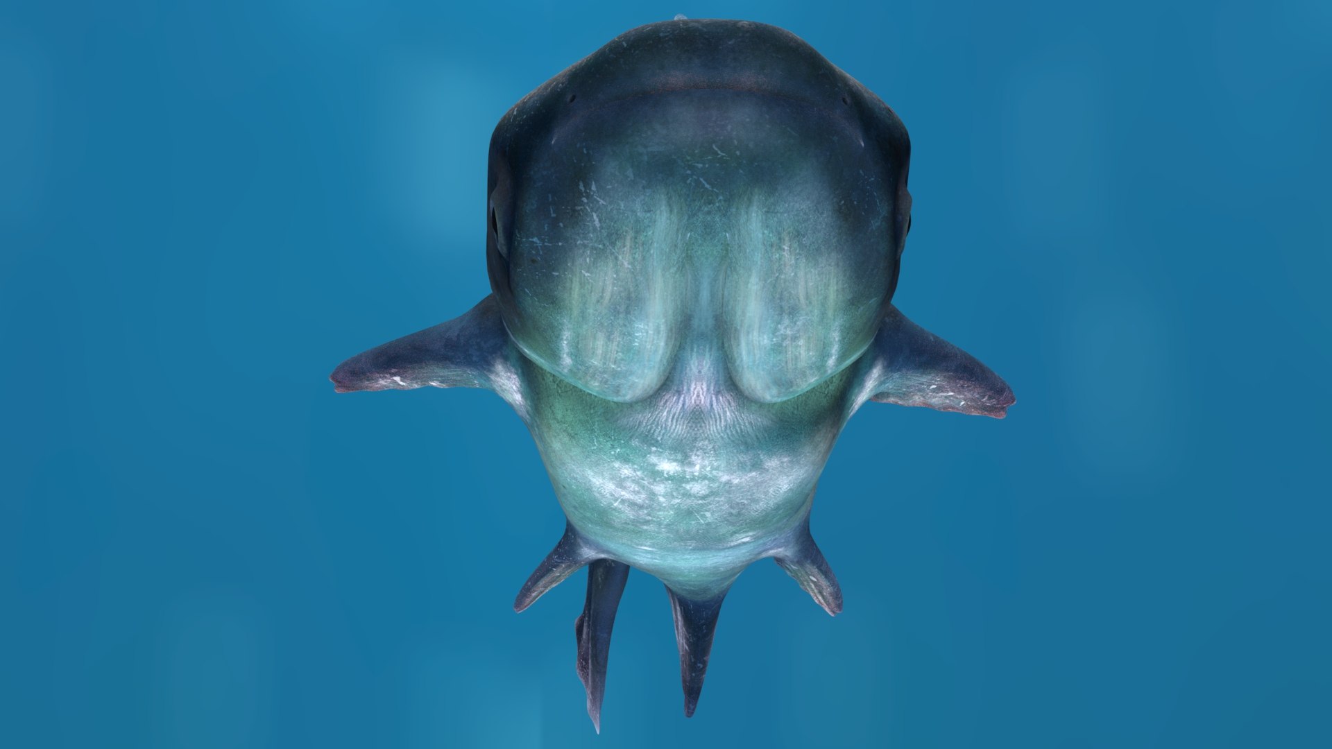 Animated Mekong Giant Catfish 3D Model TurboSquid 2089248