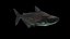 Animated Mekong Giant Catfish