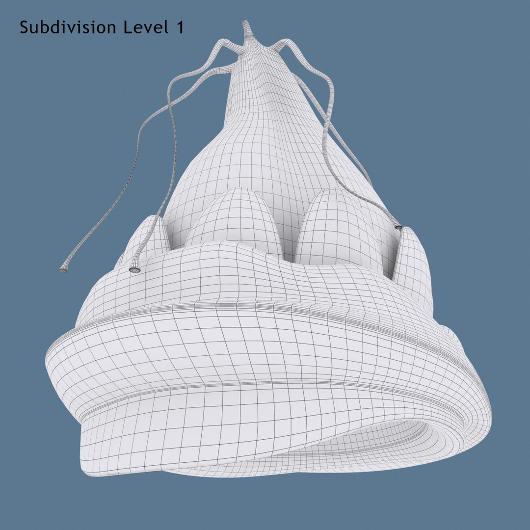 Fool Cap 3d Max