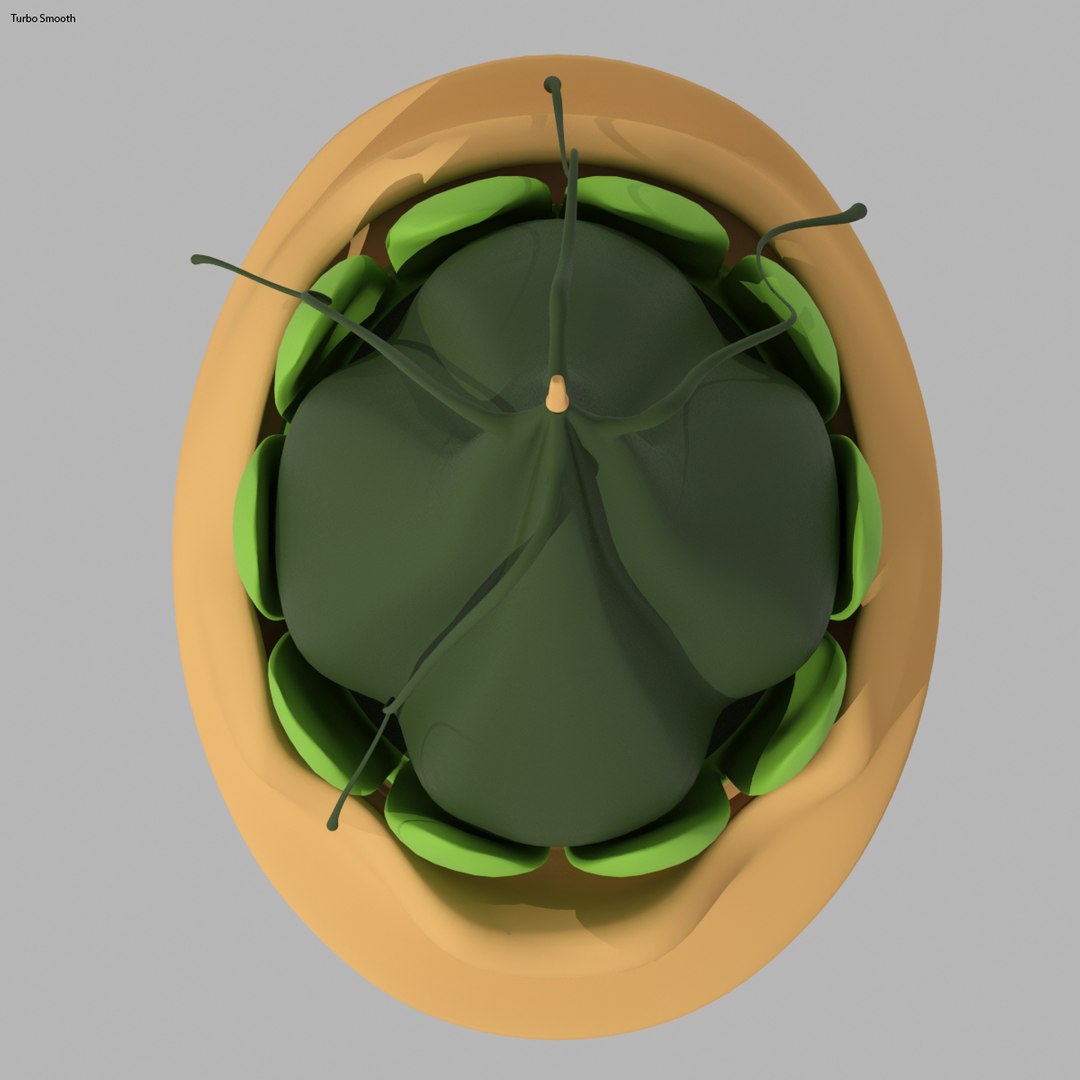 Fool Cap 3d Max