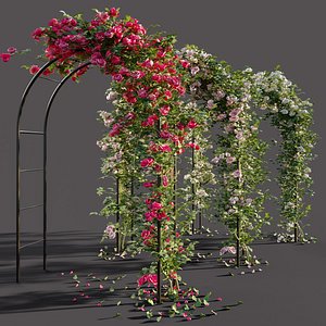 Arch pergola with roses