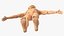 Barbie Ken GTD90 T-pose Fur