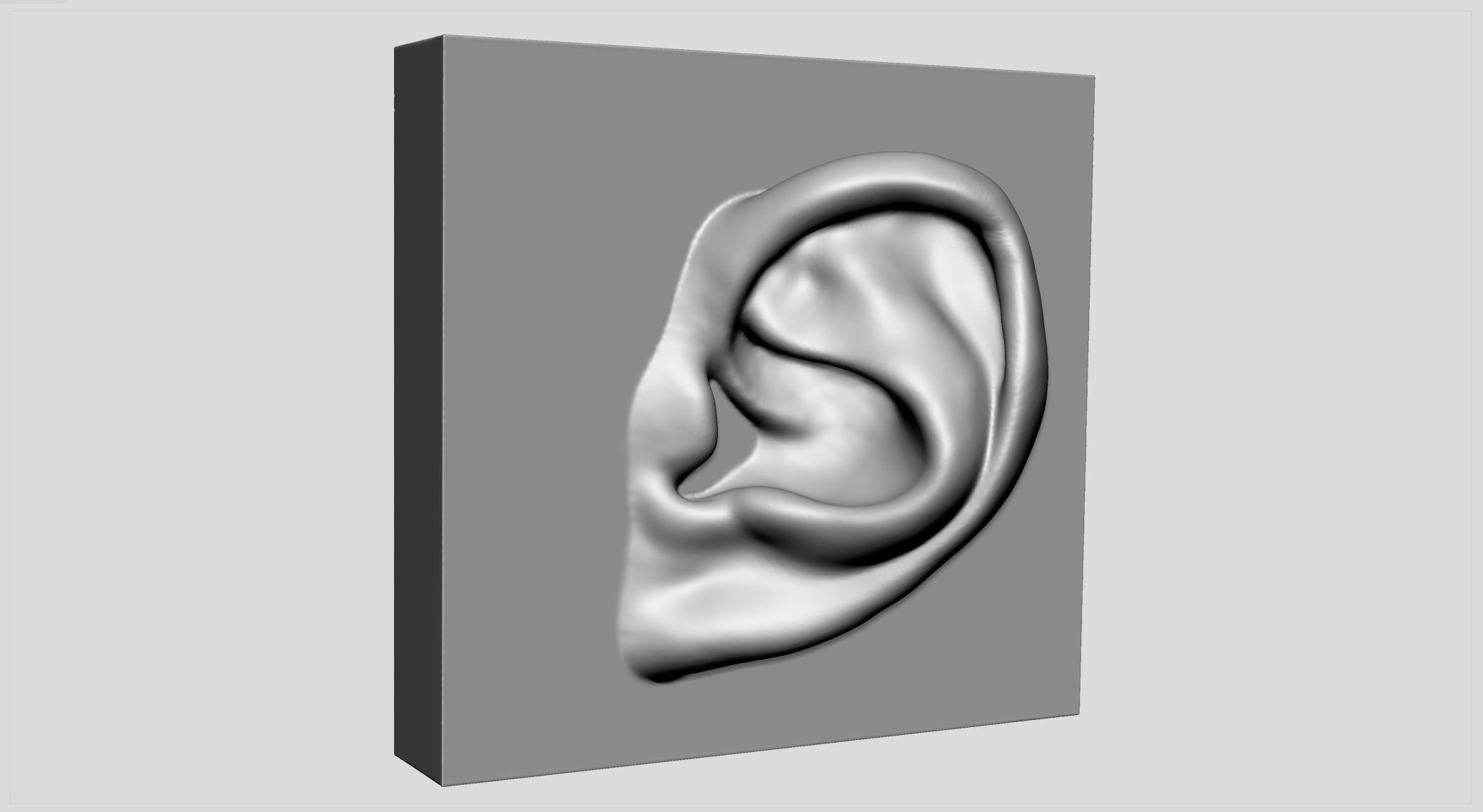 Ear Printable Modelo 3D TurboSquid 1671689