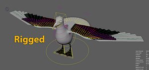 gull seagull sea 3D model