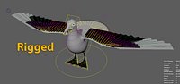 SEAGULL (rigged)