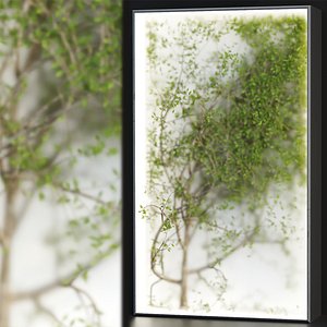Plants in the light box vol 176 3D