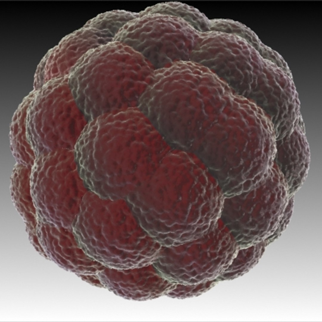 150 objects virus 3d model https://p.turbosquid.com/ts-thumb/jd/y2otO3/0NnJnGx2/redcell/jpg/1212072246/1920x1080/fit_q87/1e58cc469b150751ce9239fa05f0adda82a4c722/redcell.jpg
