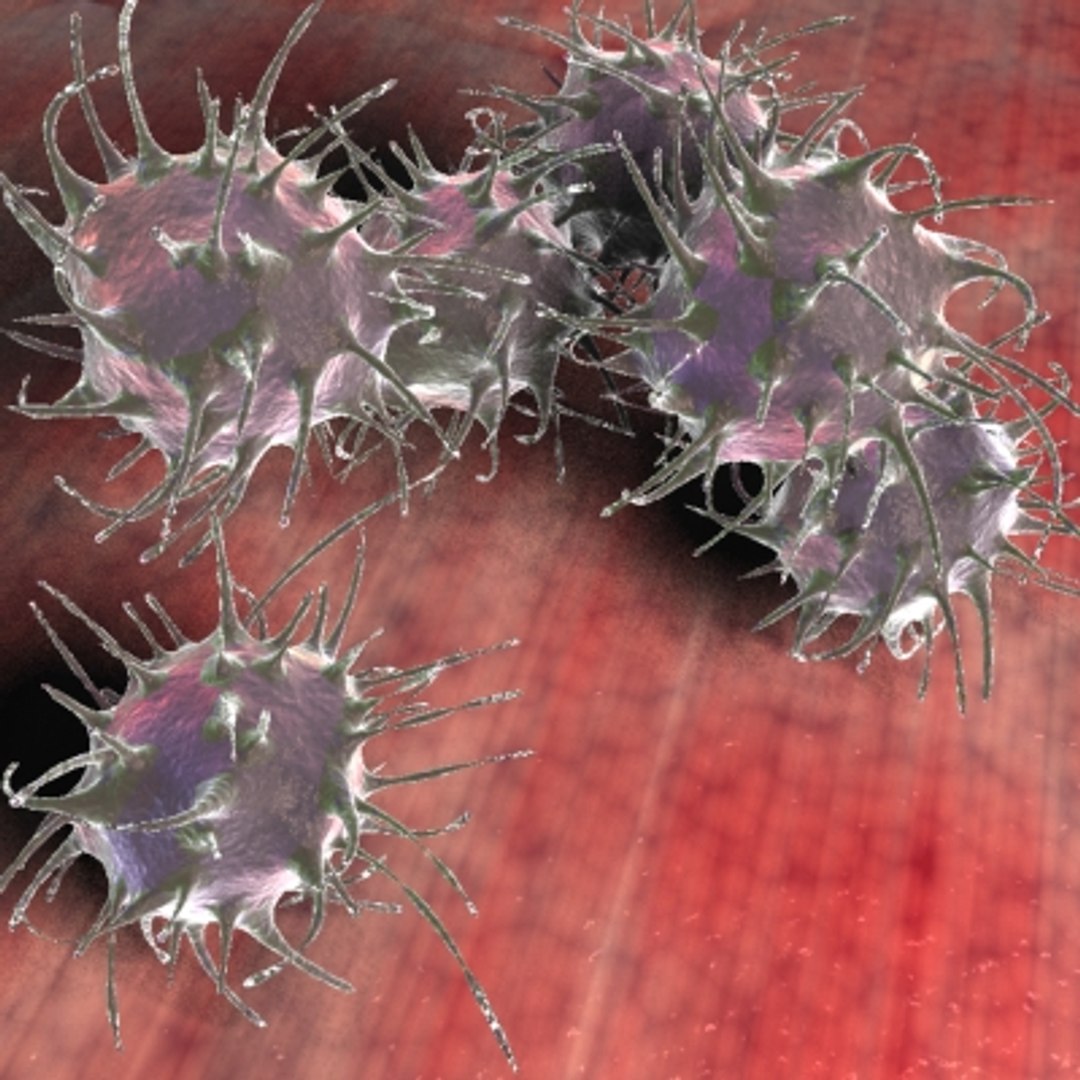 150 objects virus 3d model https://p.turbosquid.com/ts-thumb/jd/y2otO3/1psDBxX8/mimivirus/jpg/1212072144/1920x1080/fit_q87/e3e6cbd470e1cb0425b10655b70c4414a60cc66c/mimivirus.jpg