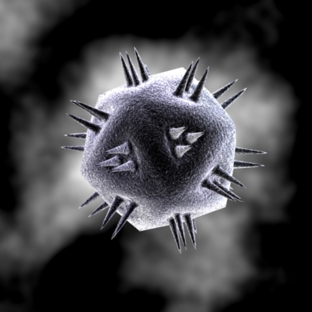 150 objects virus 3d model https://p.turbosquid.com/ts-thumb/jd/y2otO3/3RcoUave/sdfs/jpg/1212072303/1920x1080/fit_q87/a341c45c6568774555773a0d846d46109874ab1e/sdfs.jpg