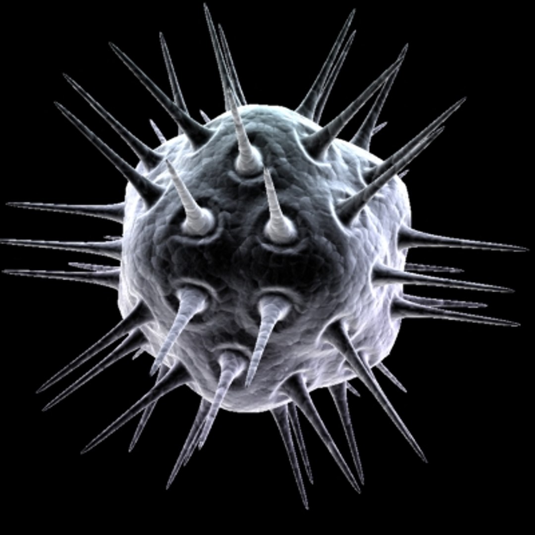 150 objects virus 3d model https://p.turbosquid.com/ts-thumb/jd/y2otO3/4nU69Nqn/virus32/jpg/1212072389/1920x1080/fit_q87/638c70091126d0335b461d629752e9c2bbe2a276/virus32.jpg