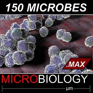 150 Micro Objects