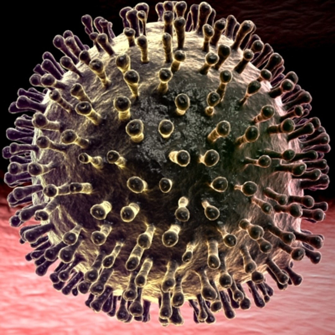 150 objects virus 3d model https://p.turbosquid.com/ts-thumb/jd/y2otO3/5TcKbaX6/virus22/jpg/1212072407/1920x1080/fit_q87/426a3653169b2d40060e8e3e048622a068cc7fdc/virus22.jpg