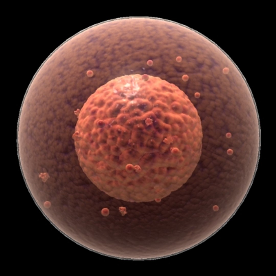 150 objects virus 3d model https://p.turbosquid.com/ts-thumb/jd/y2otO3/9QEO9xSx/genericcell/jpg/1212072062/1920x1080/fit_q87/bac8df2115c498ebd92ab000b71a328e143da95f/genericcell.jpg