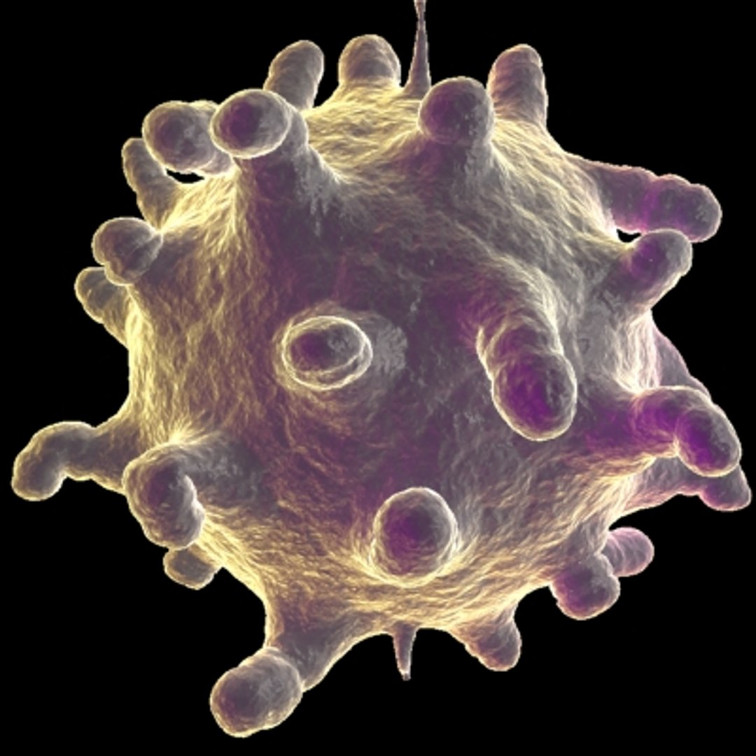 Бактерии вызывающие грипп. Риновирусная инфекция вирус. Риновирус возбудитель. Вирус ОРЗ. Вирус ОРЗ под микроскопом.