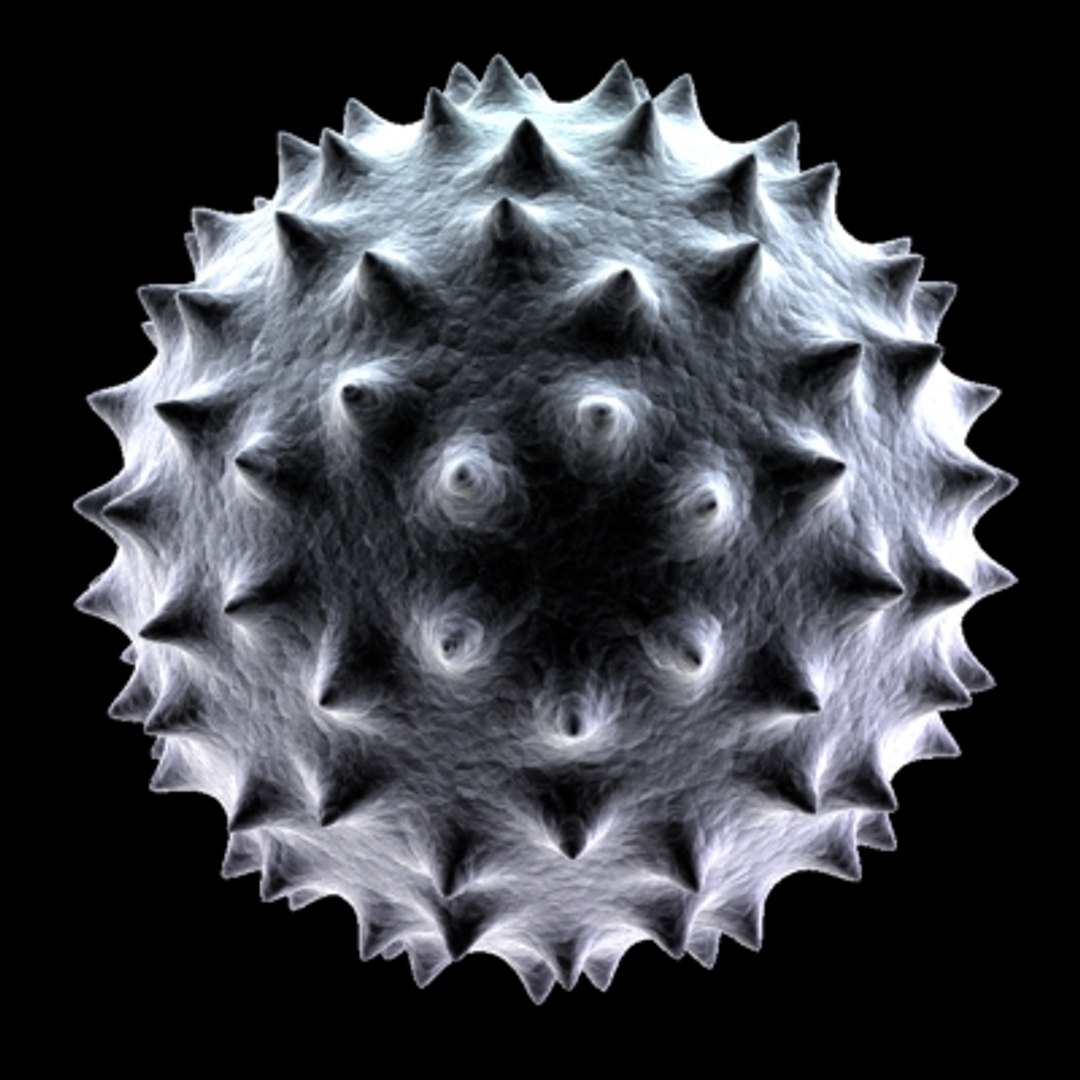 150 objects virus 3d model https://p.turbosquid.com/ts-thumb/jd/y2otO3/AOCnexFE/dfs/jpg/1212072005/1920x1080/fit_q87/cfcb2540723a78b5eaa033a934cbba0f9fd26383/dfs.jpg