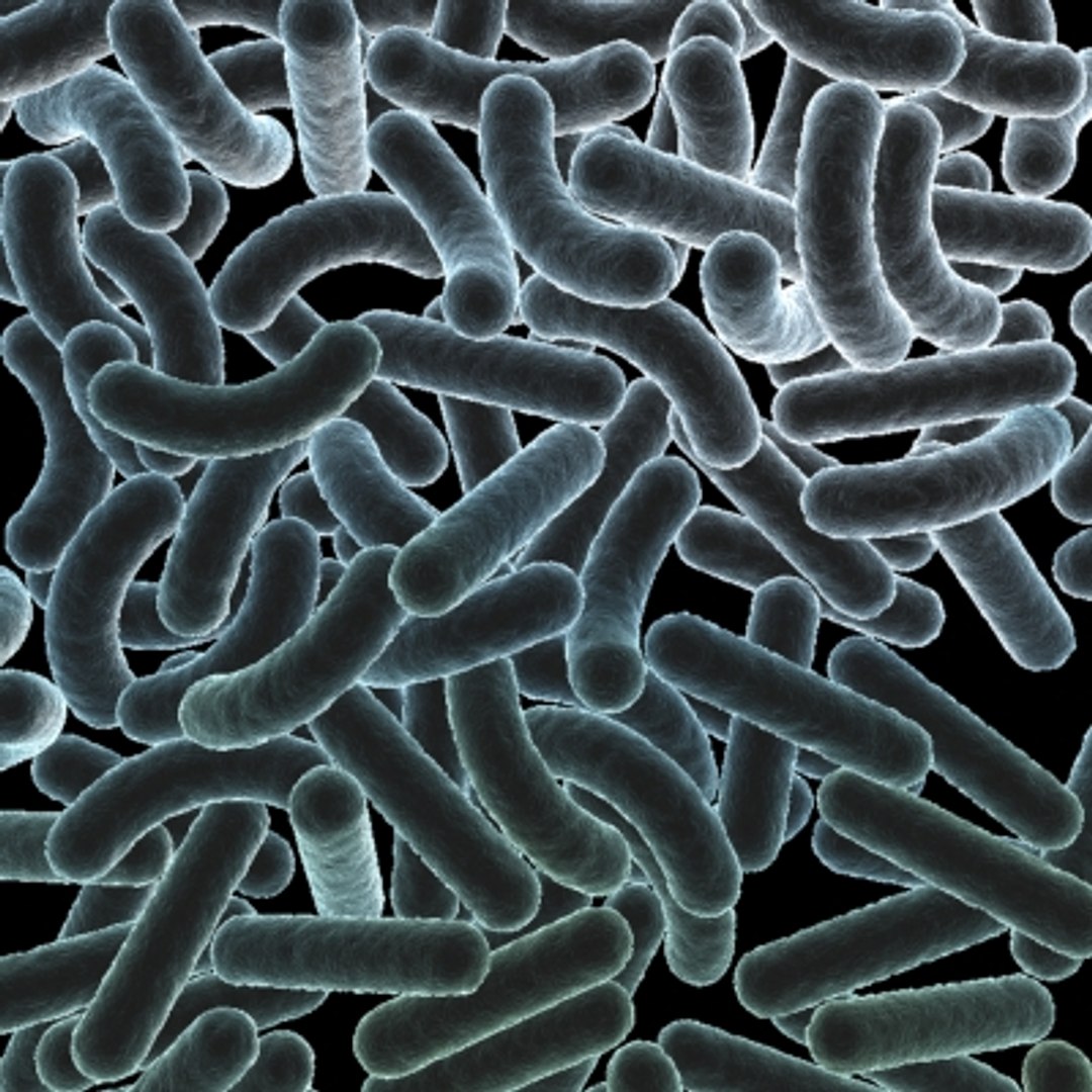 150 objects virus 3d model https://p.turbosquid.com/ts-thumb/jd/y2otO3/BbEmvPGu/tuberculosis1/jpg/1212072372/1920x1080/fit_q87/4075653234b7e43075c04ca5a5a66d5a46f8d259/tuberculosis1.jpg