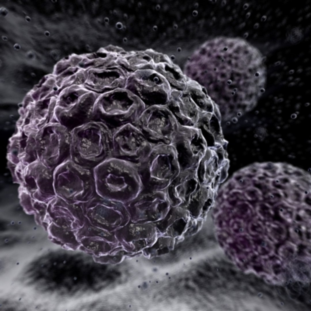 150 objects virus 3d model https://p.turbosquid.com/ts-thumb/jd/y2otO3/DvjnxSNc/virus7/jpg/1212072462/1920x1080/fit_q87/1a5330e3bee2e63422a2642922bd349410a5218d/virus7.jpg