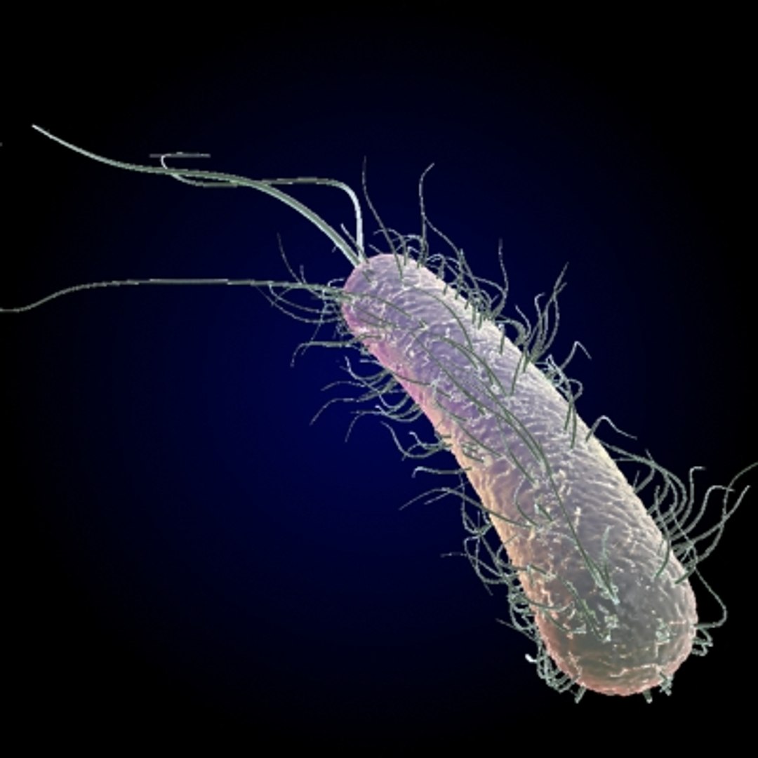 150 objects virus 3d model https://p.turbosquid.com/ts-thumb/jd/y2otO3/DxD1gCtB/flag/jpg/1212072042/1920x1080/fit_q87/9f6f8eb0076ac82d138b6d922994709c93040c3a/flag.jpg