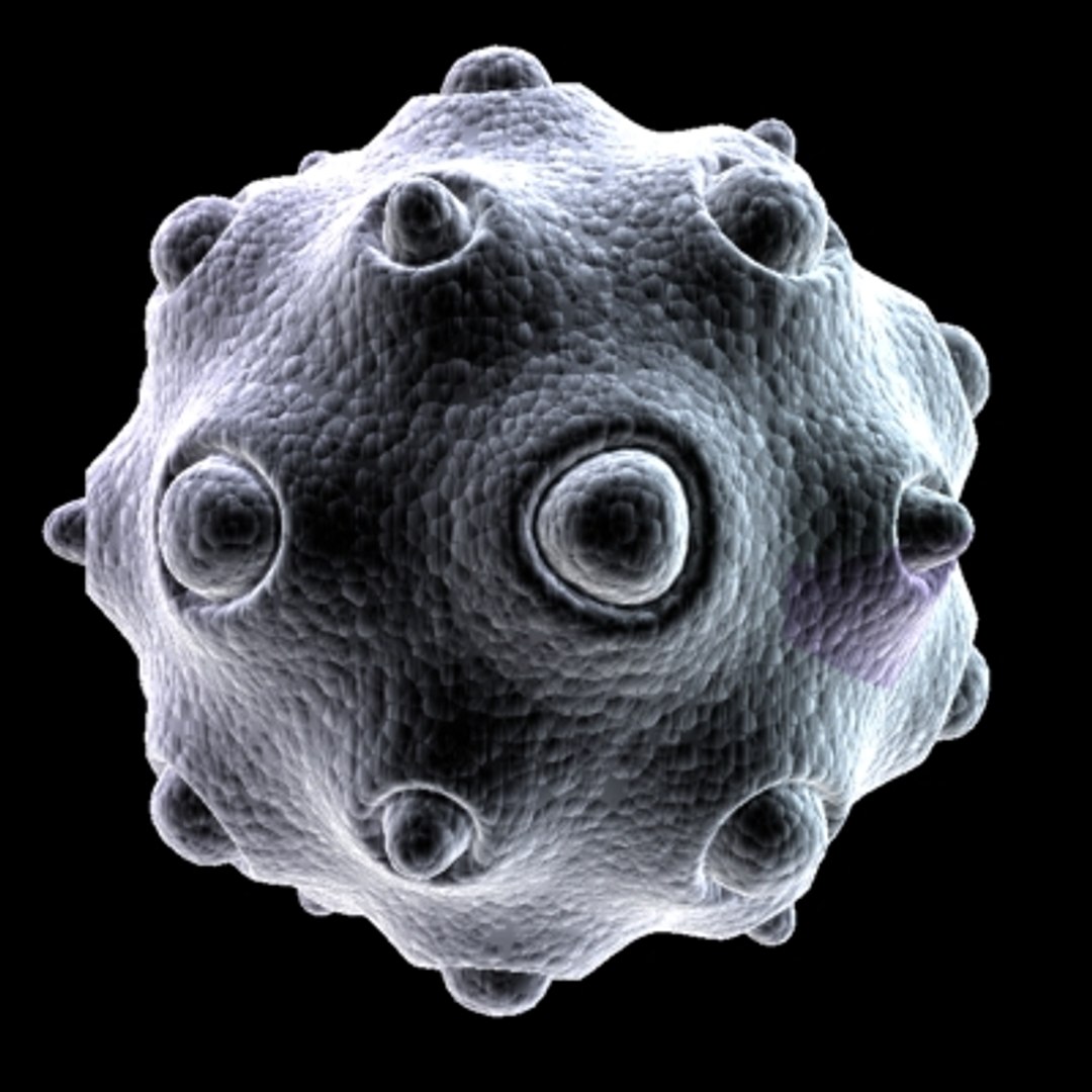 150 objects virus 3d model https://p.turbosquid.com/ts-thumb/jd/y2otO3/FViYG8SP/virus31/jpg/1212072388/1920x1080/fit_q87/376b77131c188c1b085b9f1455d3f542bfd2ed1e/virus31.jpg