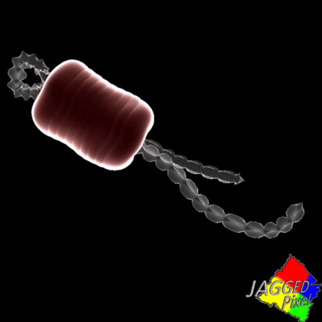 150 objects virus 3d model https://p.turbosquid.com/ts-thumb/jd/y2otO3/FZi43Vxm/12/jpg/1212071290/1920x1080/fit_q87/d4eea3cc26d1ea6c87f73693e9edfd85ede3f687/12.jpg