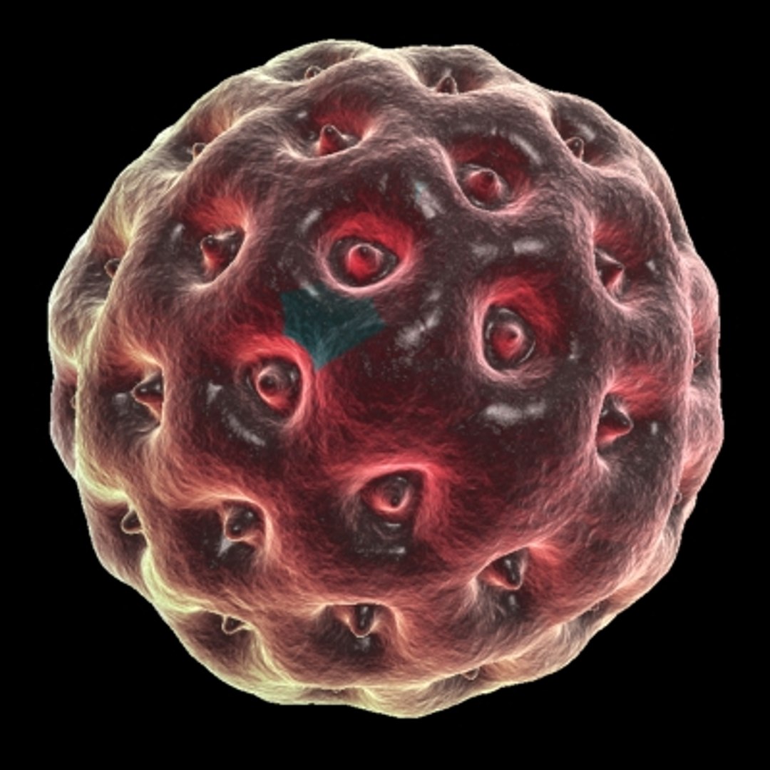 150 objects virus 3d model https://p.turbosquid.com/ts-thumb/jd/y2otO3/IfCnlRkA/pollen2/jpg/1212072226/1920x1080/fit_q87/895cd57d41bb5634cd81200010ceae0c3bc67b67/pollen2.jpg