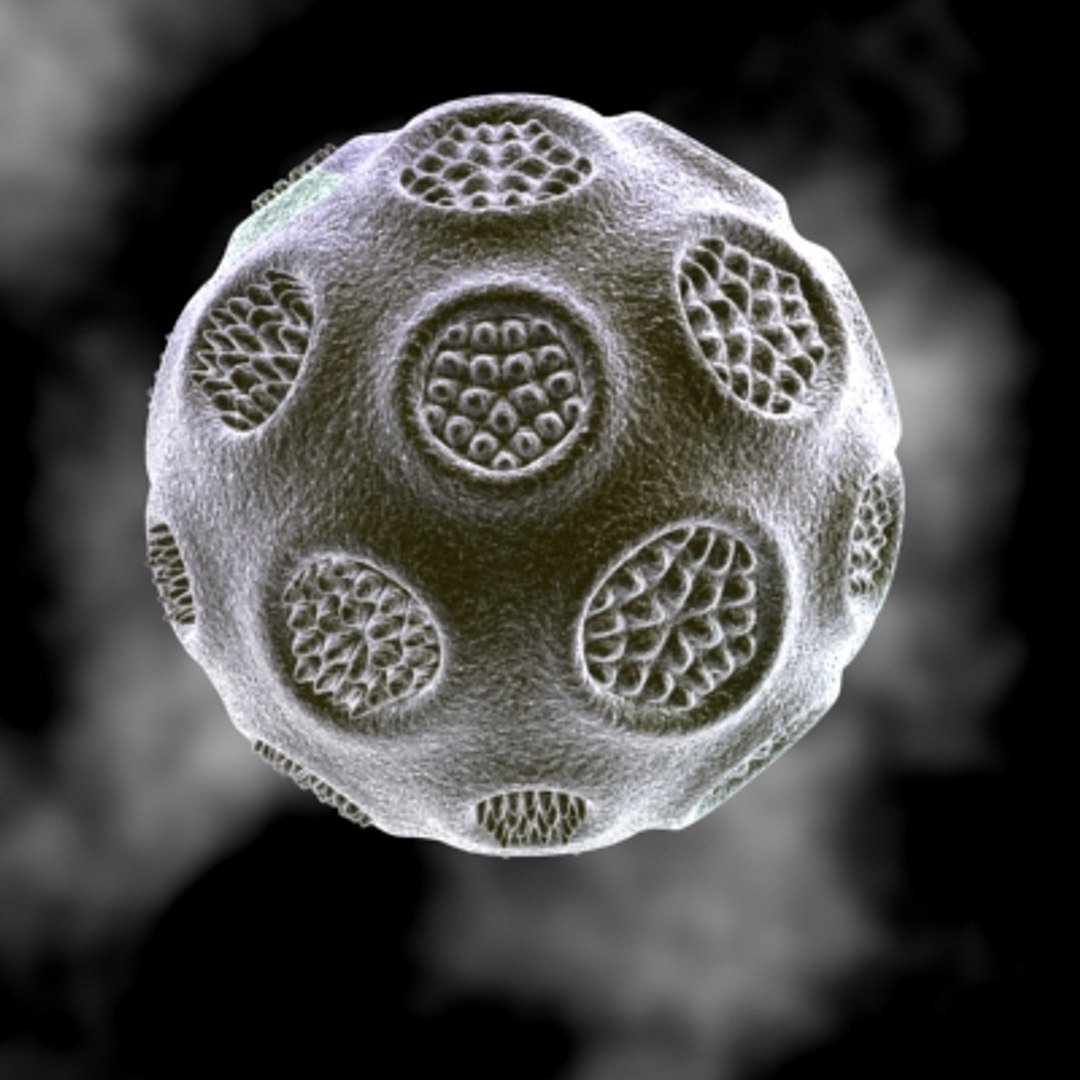 150 objects virus 3d model https://p.turbosquid.com/ts-thumb/jd/y2otO3/Kn1CYdAv/xdg/jpg/1212072734/1920x1080/fit_q87/3cce2f75387a7deb53aba8e5475a241760740a01/xdg.jpg