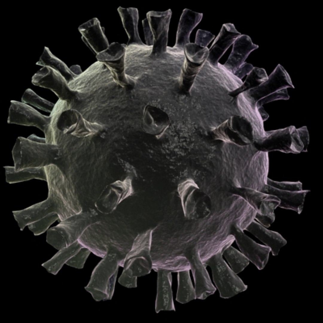 150 objects virus 3d model https://p.turbosquid.com/ts-thumb/jd/y2otO3/MxQXV01Y/gh/jpg/1212072061/1920x1080/fit_q87/4c09b59000bf215b322c1418f8dfaea5eda2fc60/gh.jpg