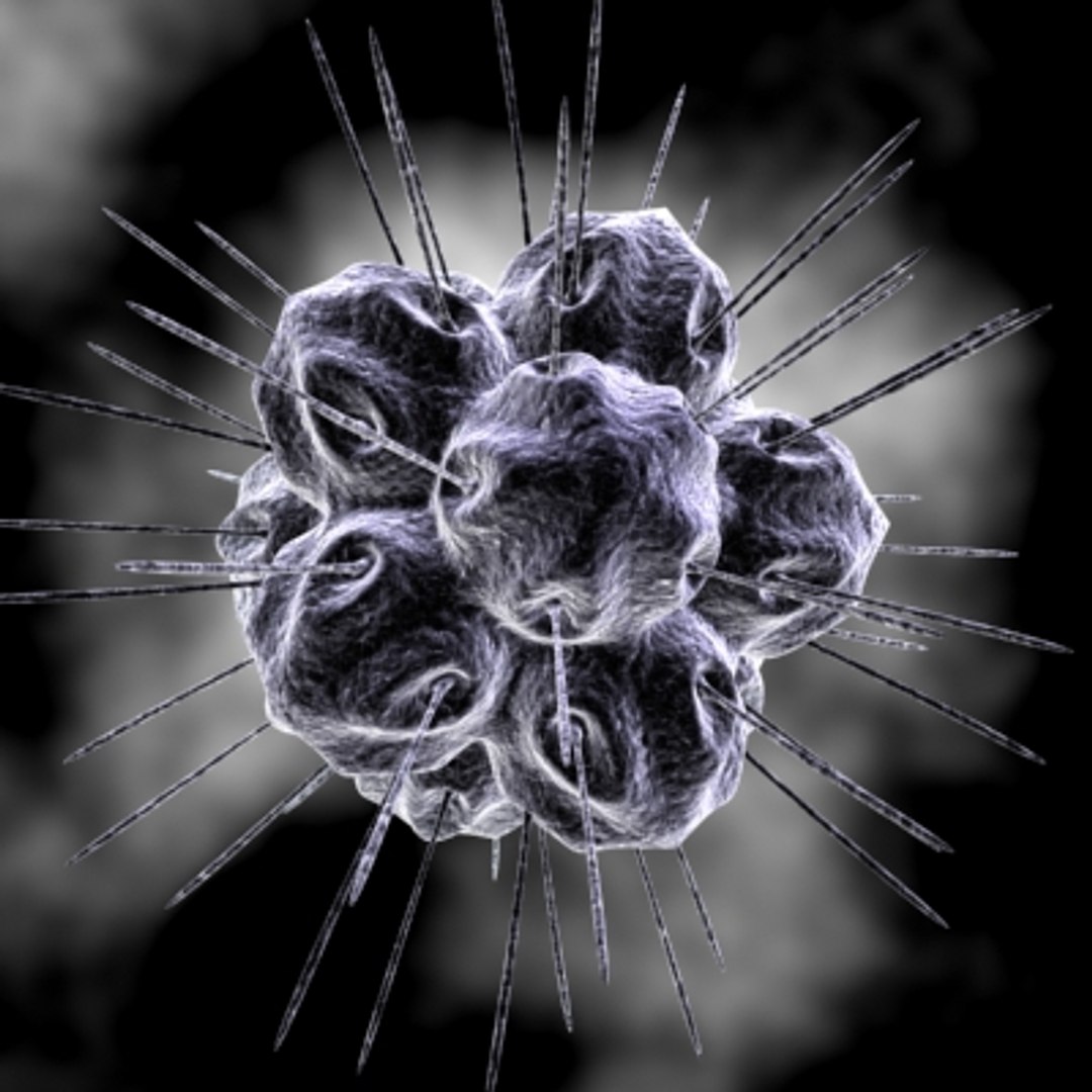 150 objects virus 3d model https://p.turbosquid.com/ts-thumb/jd/y2otO3/NoTbac3r/virus28/jpg/1212072674/1920x1080/fit_q87/0f2b427e3a4b8a9a0885b4034934556035938330/virus28.jpg