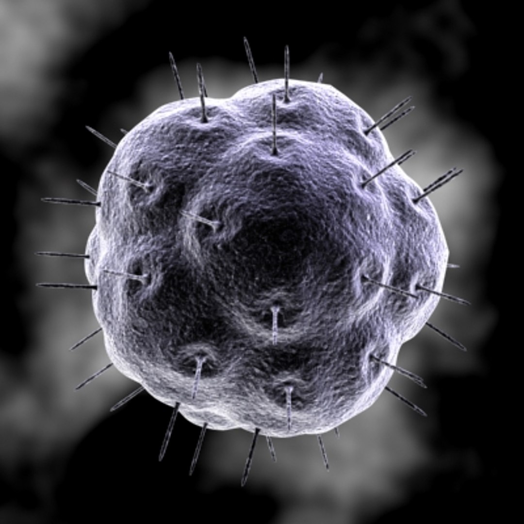 150 objects virus 3d model https://p.turbosquid.com/ts-thumb/jd/y2otO3/QSAjLyQy/virus27/jpg/1212072666/1920x1080/fit_q87/73c5c7f3e3505b15e3b014f67415117ca7ae7095/virus27.jpg