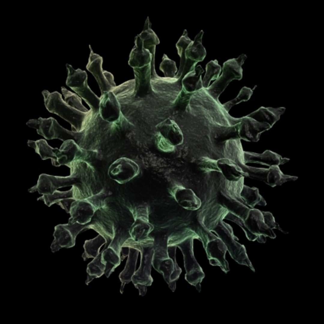 150 objects virus 3d model https://p.turbosquid.com/ts-thumb/jd/y2otO3/Skg4j2hq/flu/jpg/1212072048/1920x1080/fit_q87/963cf21a23c75abba545e4813fee65bcaf905c4f/flu.jpg