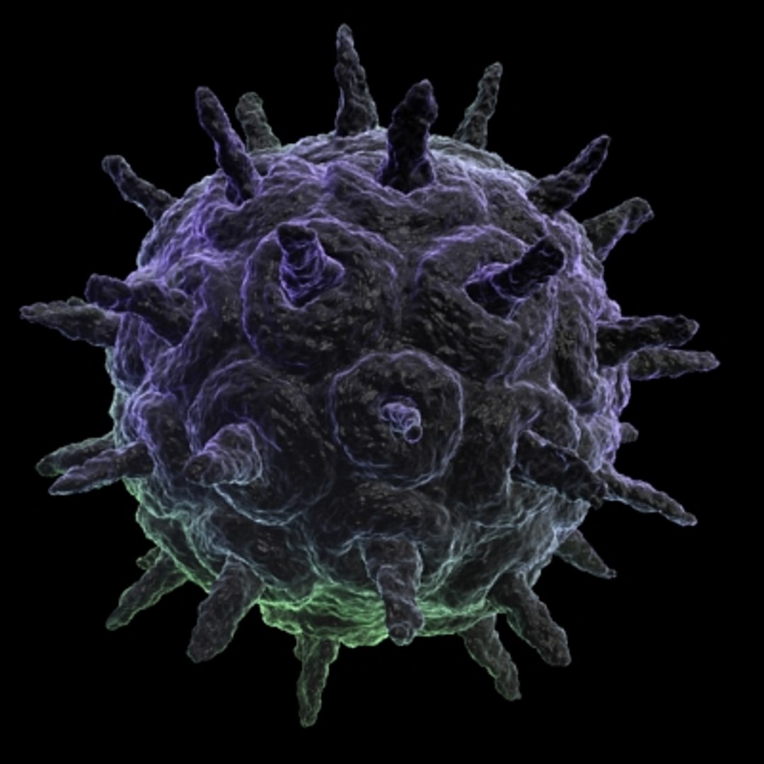 150 objects virus 3d model https://p.turbosquid.com/ts-thumb/jd/y2otO3/Ug8jz3cP/virus102/jpg/1212072481/1920x1080/fit_q87/2d08629bae2e9ea7cbea5fa96b220f69bf82ba1d/virus102.jpg