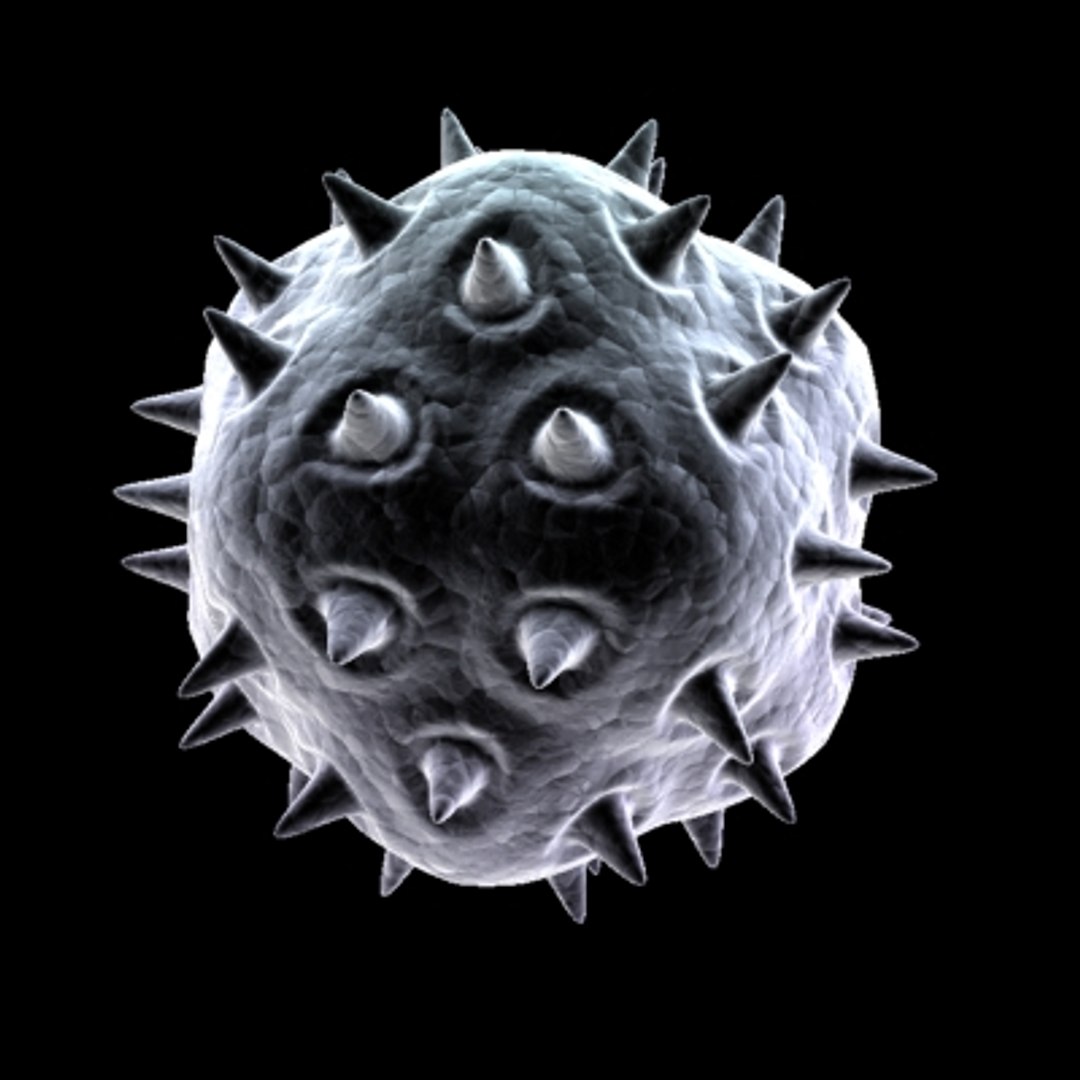 150 objects virus 3d model https://p.turbosquid.com/ts-thumb/jd/y2otO3/VunEeJul/virus33/jpg/1212072697/1920x1080/fit_q87/2444c711700d1970065c3025919ddc34ebf282d7/virus33.jpg