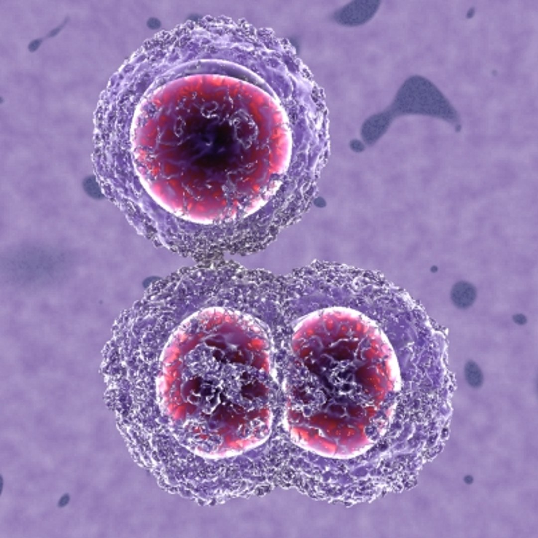 150 objects virus 3d model https://p.turbosquid.com/ts-thumb/jd/y2otO3/aXL6WR6S/mrsa/jpg/1212072784/1920x1080/fit_q87/72d71e88632a4d98a8db32394ae88f4edbd3228b/mrsa.jpg