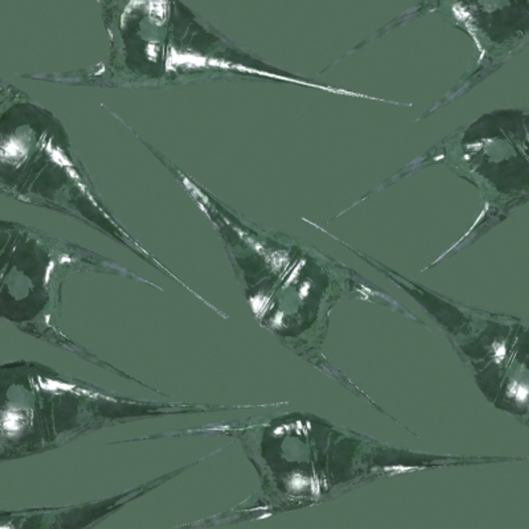 150 objects virus 3d model https://p.turbosquid.com/ts-thumb/jd/y2otO3/co87c0Jz/certiumfusus/jpg/1212071925/1920x1080/fit_q87/d55956a6fb5e6fbbcc24a1cbd563d0a32fc846e5/certiumfusus.jpg