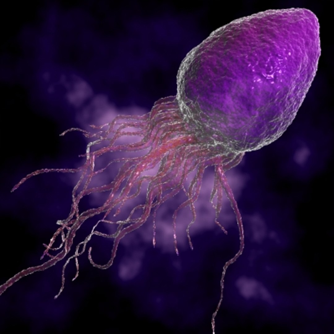 150 objects virus 3d model https://p.turbosquid.com/ts-thumb/jd/y2otO3/gF4xoXJk/17/jpg/1212071347/1920x1080/fit_q87/cc0367578fdb54eeacd0446f53f4c2946e6ec5c8/17.jpg