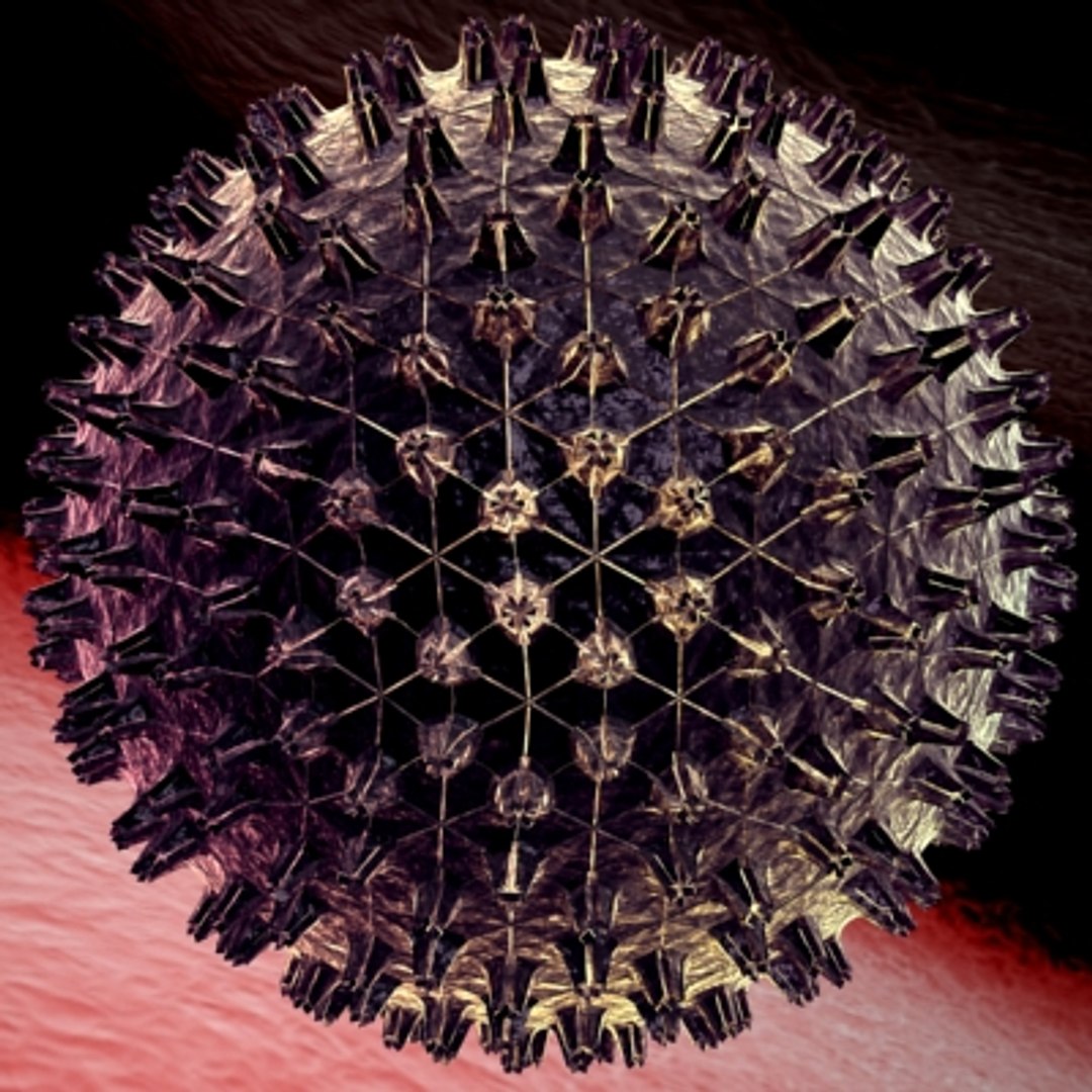 150 objects virus 3d model https://p.turbosquid.com/ts-thumb/jd/y2otO3/gL7JRwoj/virus3/jpg/1212072429/1920x1080/fit_q87/232d5a0727987f84b56e72328f9778fdd06236bc/virus3.jpg