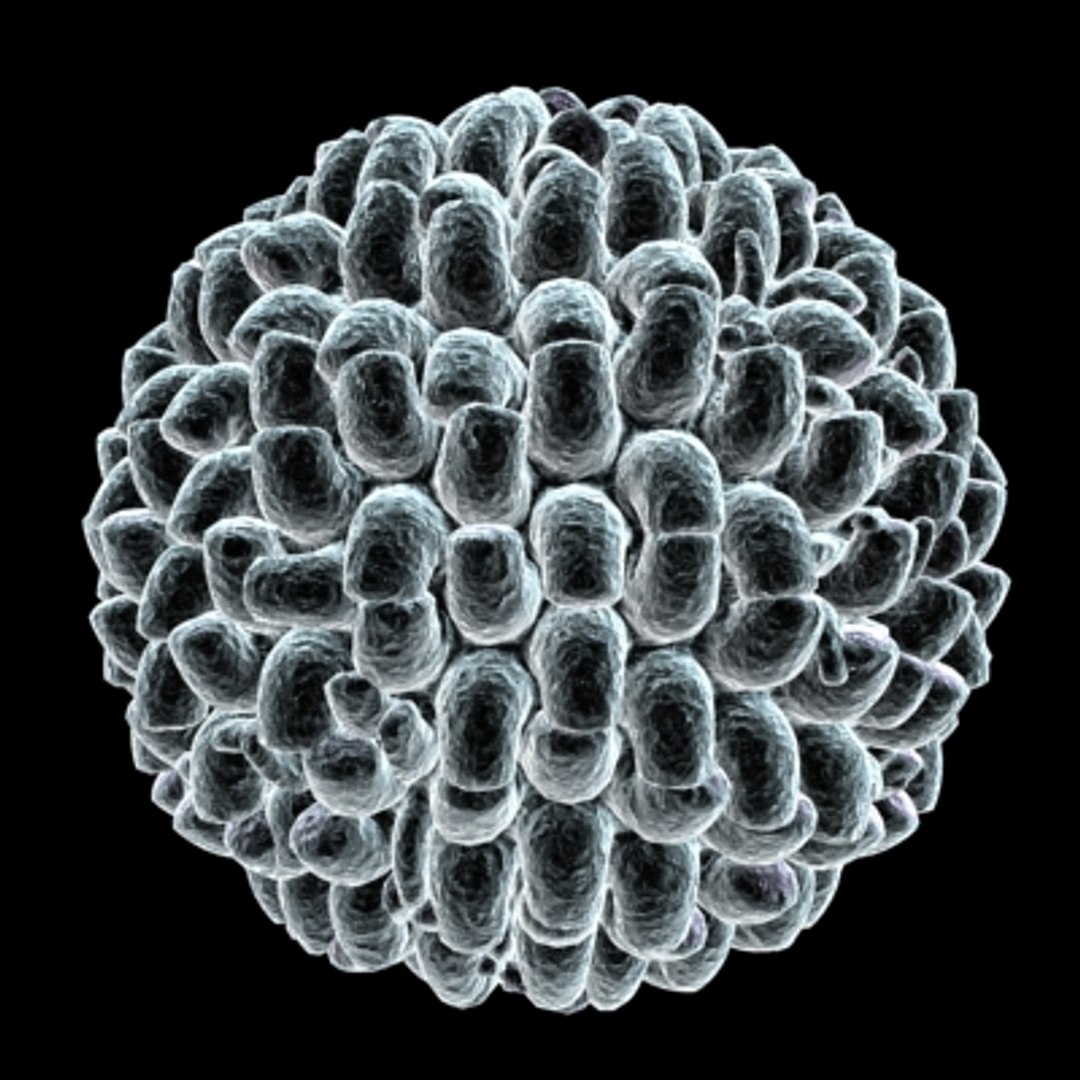 150 objects virus 3d model https://p.turbosquid.com/ts-thumb/jd/y2otO3/hqx5ZeZu/fghy/jpg/1212072026/1920x1080/fit_q87/1be3b97ee94e5d5d27fd0da7f31aebf1a9a45f21/fghy.jpg