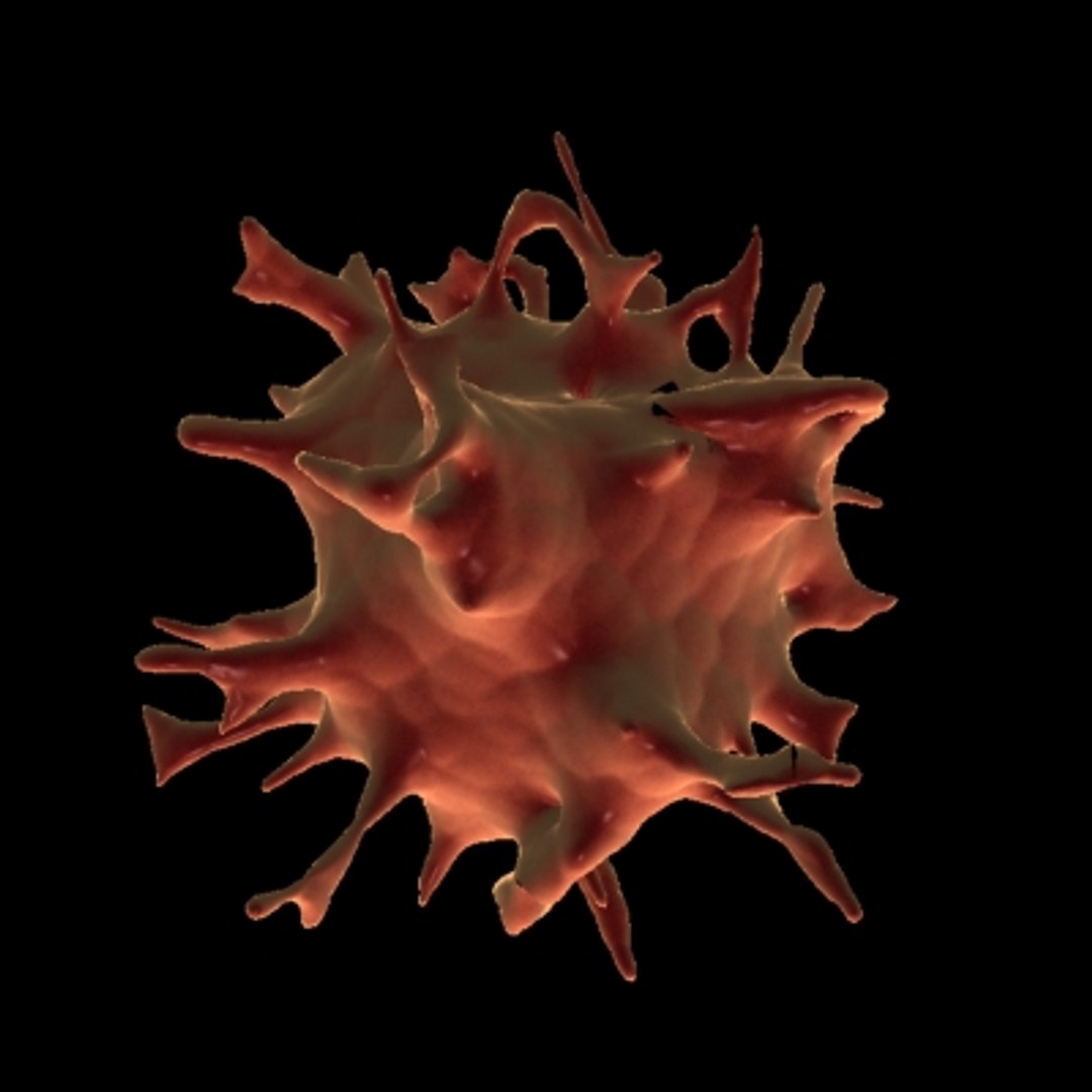 150 objects virus 3d model https://p.turbosquid.com/ts-thumb/jd/y2otO3/hroU4Ogj/activatedplatlet/jpg/1212071631/1920x1080/fit_q87/ed9005101f266ff564c52988743727bd1171ef89/activatedplatlet.jpg
