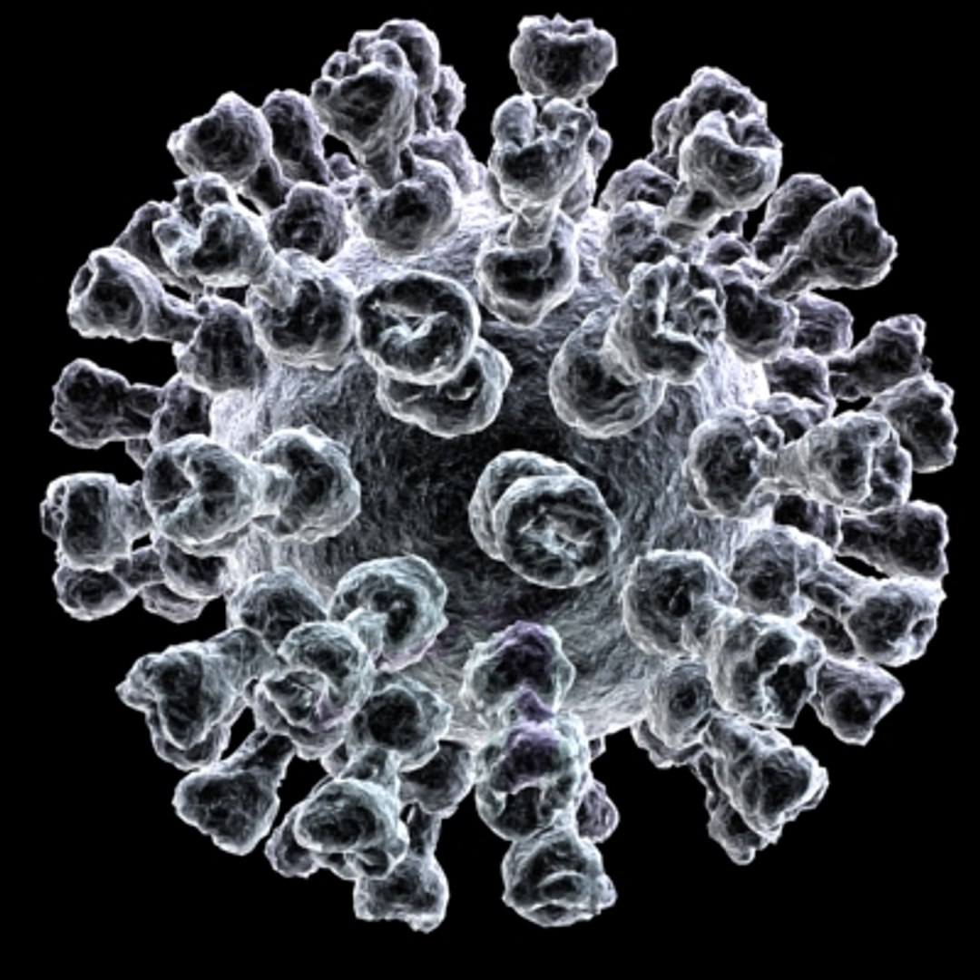 150 objects virus 3d model https://p.turbosquid.com/ts-thumb/jd/y2otO3/iKN8IXMe/virus15/jpg/1212072532/1920x1080/fit_q87/5c38da30c1e87eba832eccfee775e6fd6f8e18cb/virus15.jpg