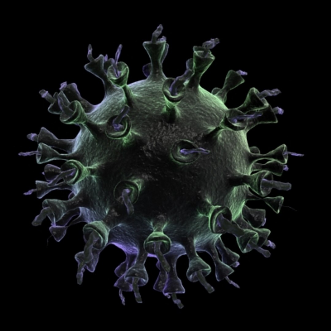 150 objects virus 3d model https://p.turbosquid.com/ts-thumb/jd/y2otO3/ikVcafVT/virus18/jpg/1212072585/1920x1080/fit_q87/751a0048d3855c259f7809700f097f957e00c309/virus18.jpg