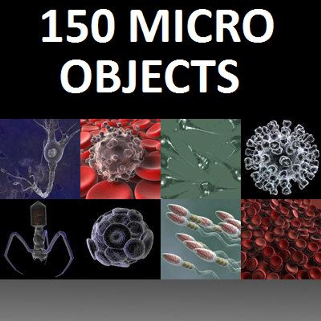 150 objects virus 3d model https://p.turbosquid.com/ts-thumb/jd/y2otO3/jPlCdTLs/compile/jpg/1212072743/1920x1080/fit_q87/bf0aa52abb3854e2ed12f5a9ee57ff862bd3f91a/compile.jpg