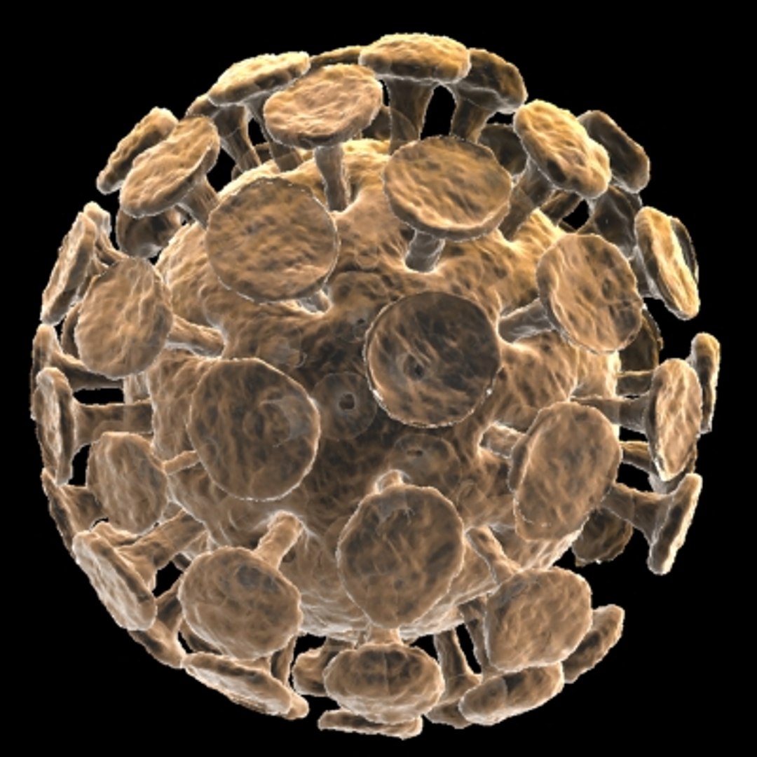 150 objects virus 3d model https://p.turbosquid.com/ts-thumb/jd/y2otO3/m2RdXQf8/coronaviruses/jpg/1212071989/1920x1080/fit_q87/7850c349e60b150b8c2838e25c12321bee94f0b7/coronaviruses.jpg