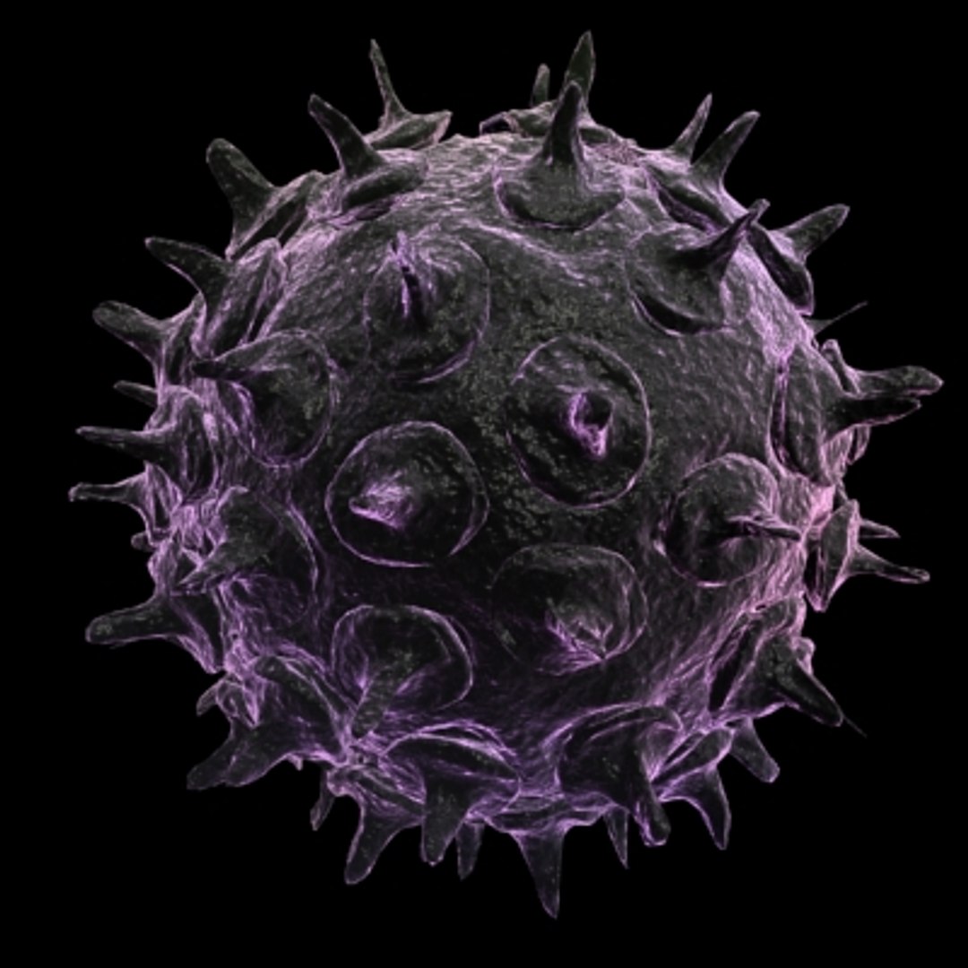 150 objects virus 3d model https://p.turbosquid.com/ts-thumb/jd/y2otO3/n58i9J4x/virus16/jpg/1212072564/1920x1080/fit_q87/144eb8175b07eea72eb2707597560022b3d5f752/virus16.jpg