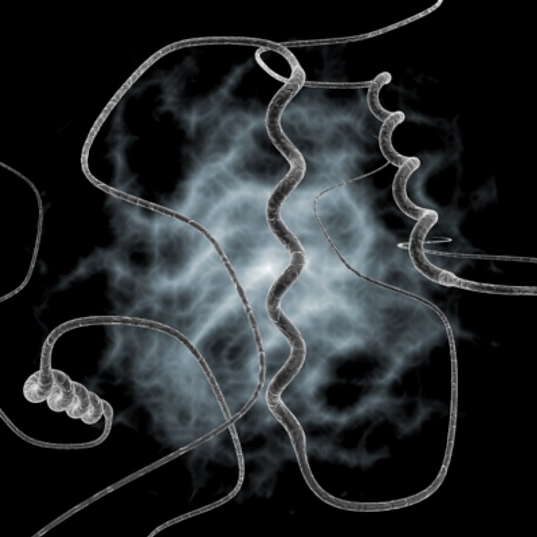 150 objects virus 3d model https://p.turbosquid.com/ts-thumb/jd/y2otO3/nODSxO07/campylobacter/jpg/1212071863/1920x1080/fit_q87/cf9b3e02f7dcf8eec6a74904999e9d7f138d6b03/campylobacter.jpg