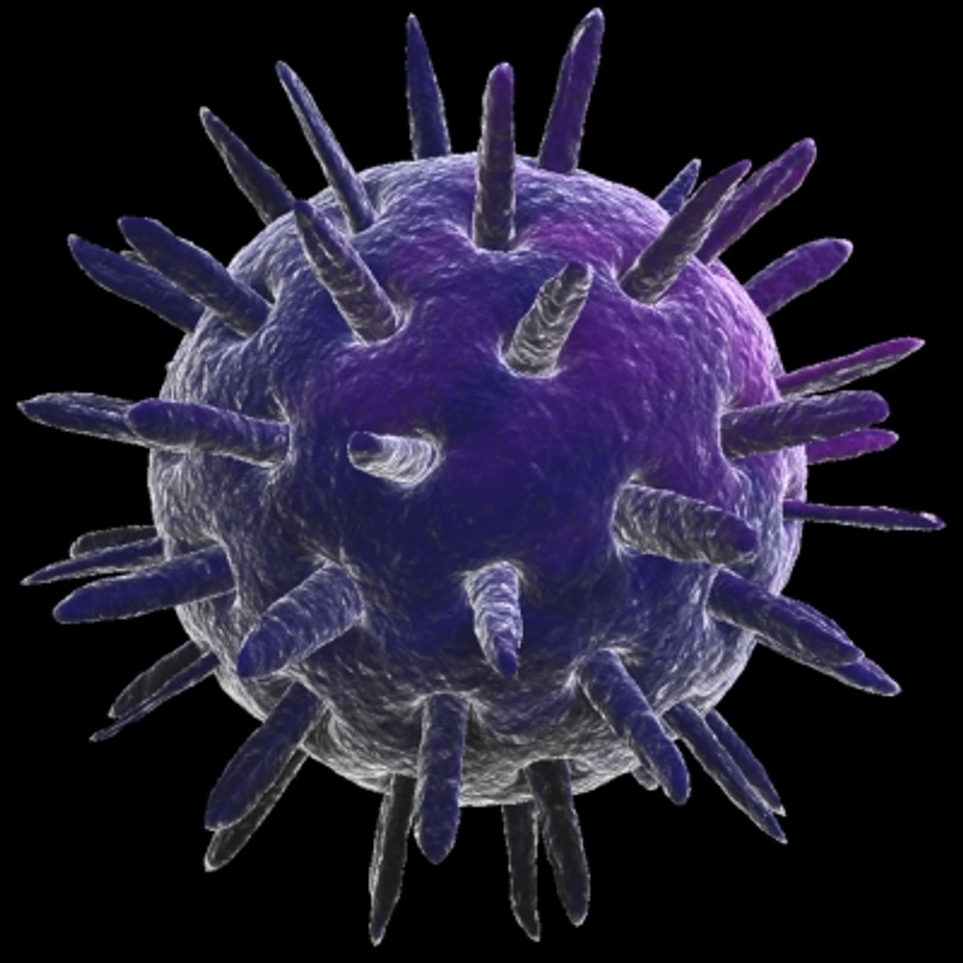 150 objects virus 3d model https://p.turbosquid.com/ts-thumb/jd/y2otO3/r3pfsDTv/caliciviruses/jpg/1212071895/1920x1080/fit_q87/fe8e61f77a13817db6fb8aa6ab8940dbc9259b3d/caliciviruses.jpg