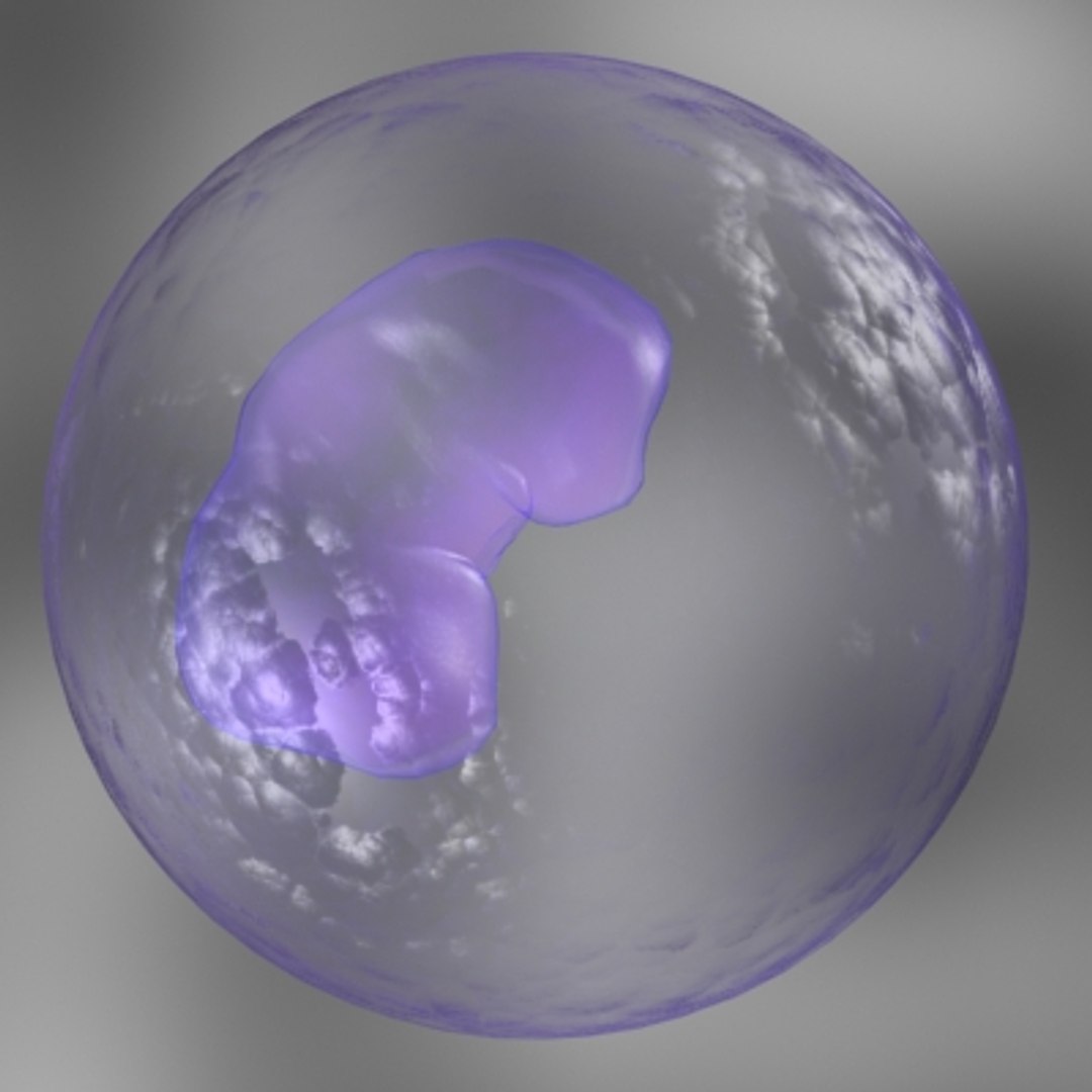 150 objects virus 3d model https://p.turbosquid.com/ts-thumb/jd/y2otO3/sDN0oi9d/eosinphil/jpg/1212072021/1920x1080/fit_q87/3612e6cf95d7d9ccab38d21f35645d497457b040/eosinphil.jpg